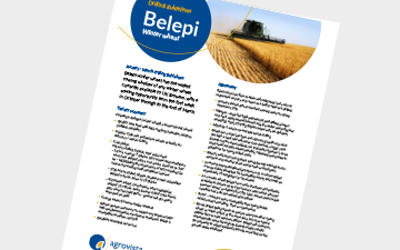 Belepi drilling guide